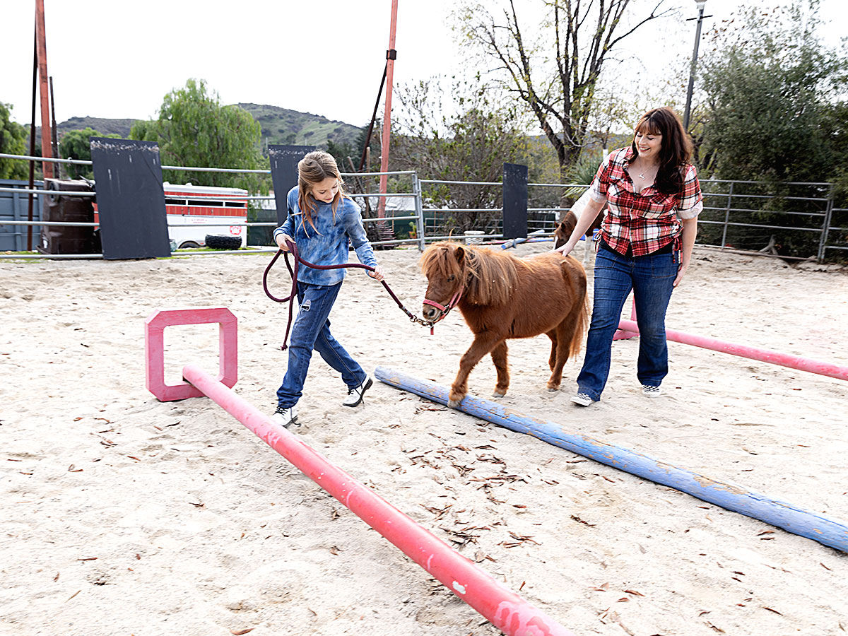 Equine Therapy patients